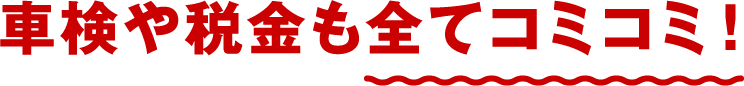 車検や税金も全てコミコミ!