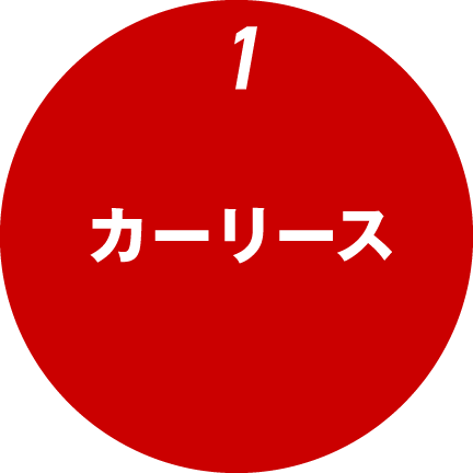 1.カーリース